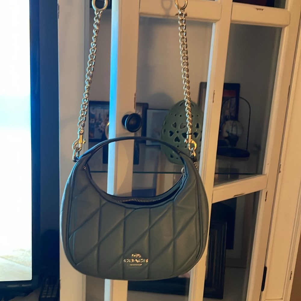 Coach Carmen Mini Crossbody Bag leather with Gold accents Sage Green CY710 - Picture 11 of 11